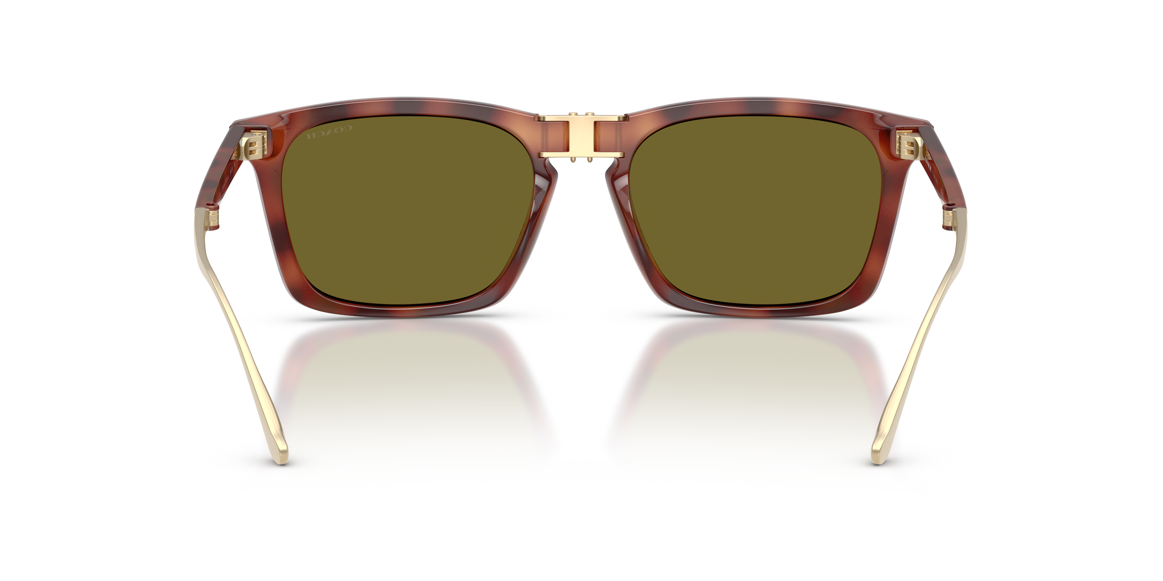 Coach HC8455 5774/2 Cdp54 